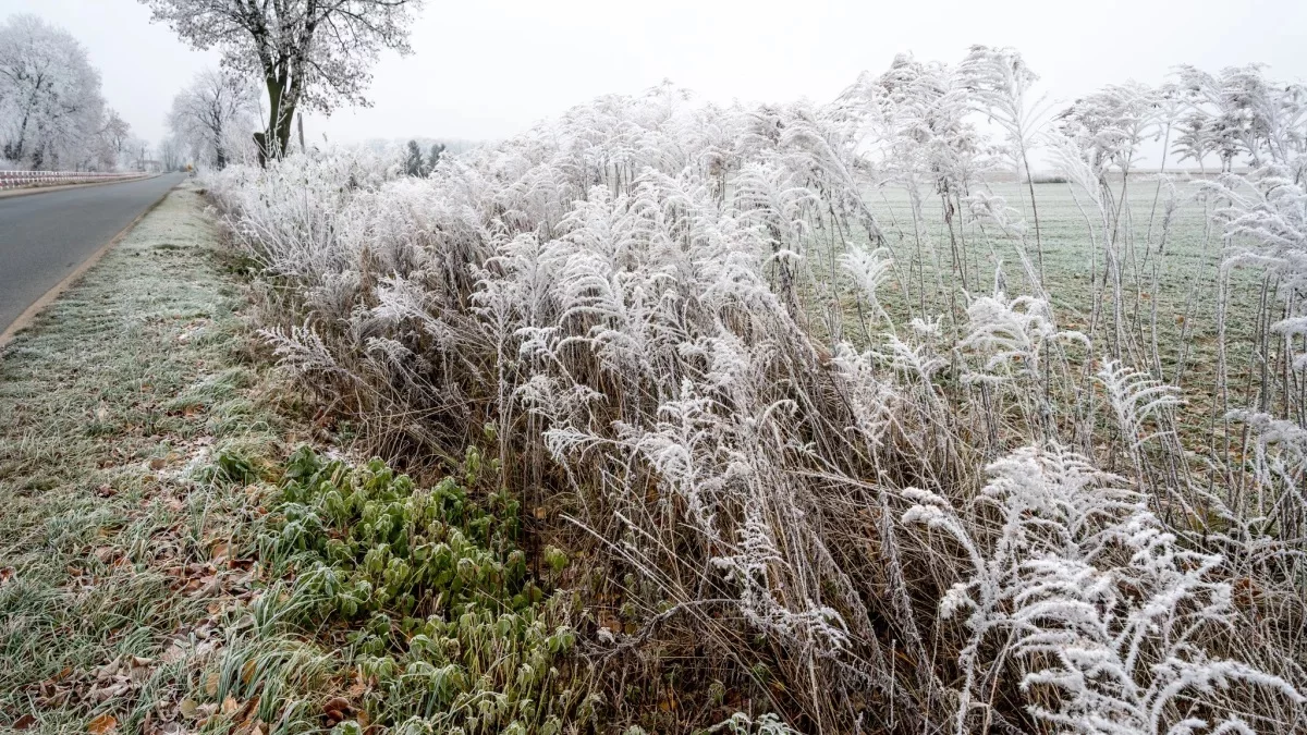 Dzień dobry Pleszew! Dziś poniedziałek, 2 lutego 2026 roku