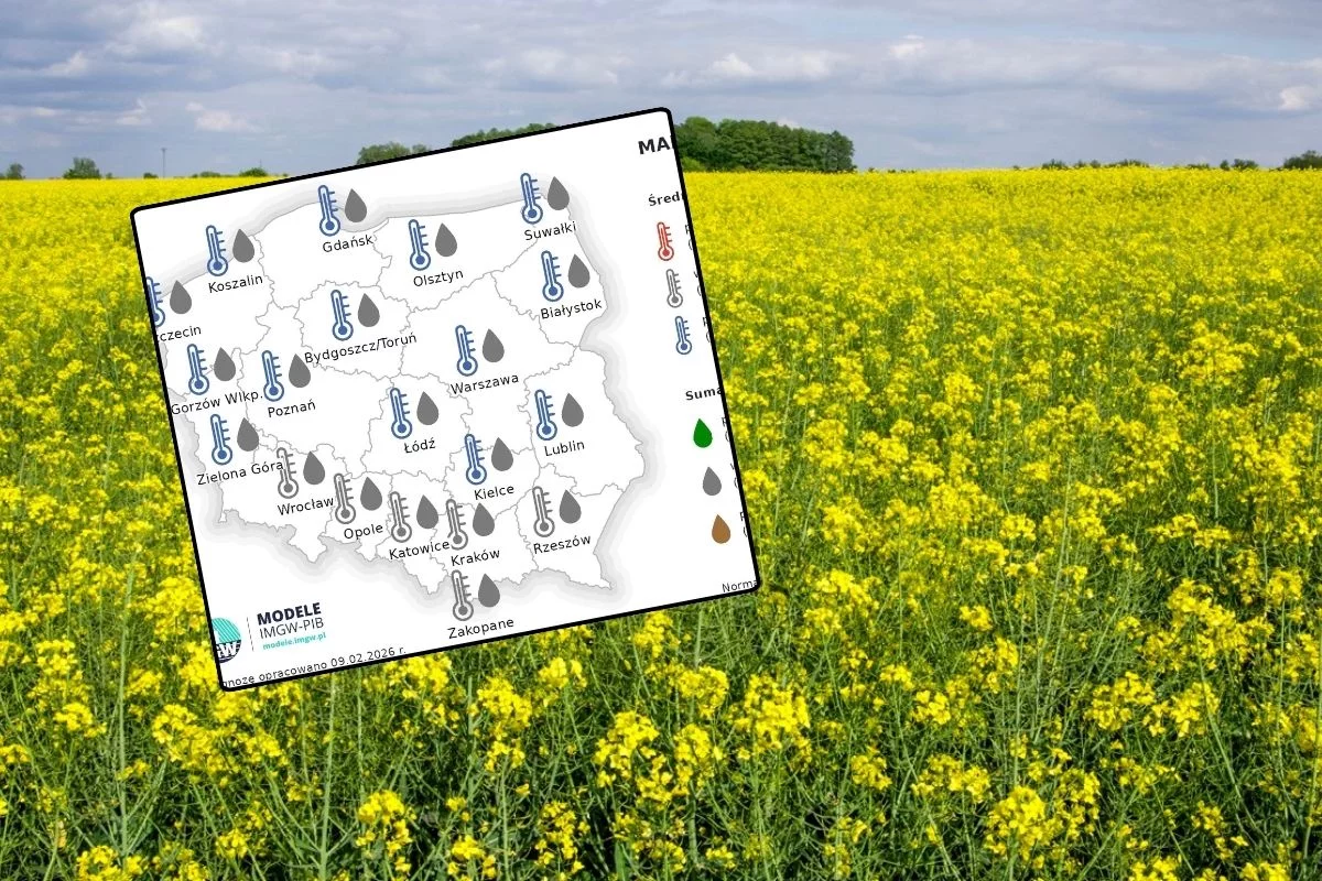 Kiedy zawita do nas prawdziwa wiosna? Prognozy nie pozostawiają złudzeń. Mamy dane IMGW
