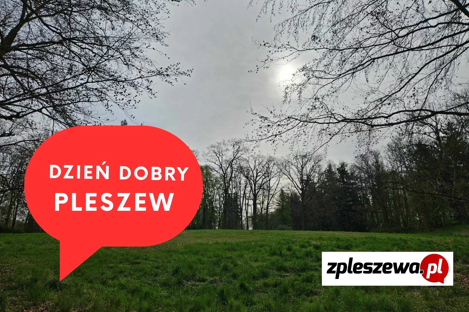 Dzień dobry Pleszew! Dziś poniedziałek 12 maja