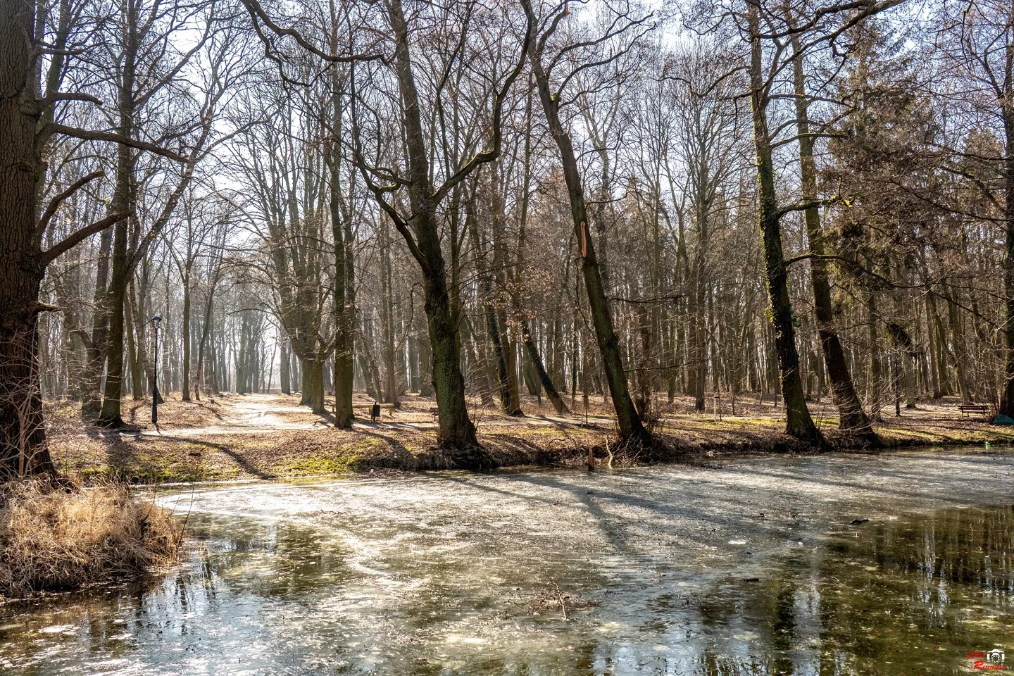 Dzień dobry Pleszew! Dziś poniedziałek, 2 marca 2026 roku