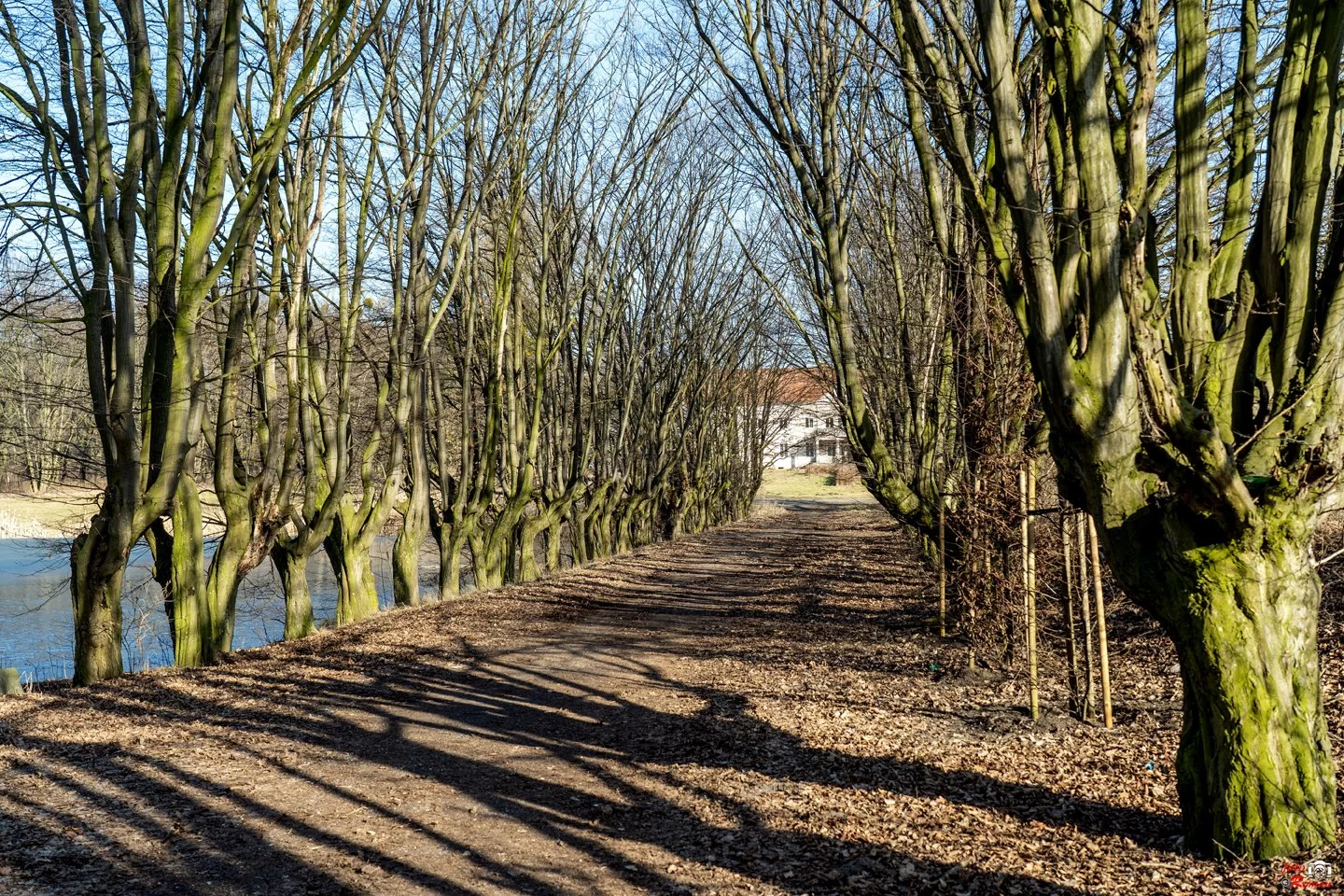Dzień dobry Pleszew! Dziś poniedziałek, 9 marca 2026 roku