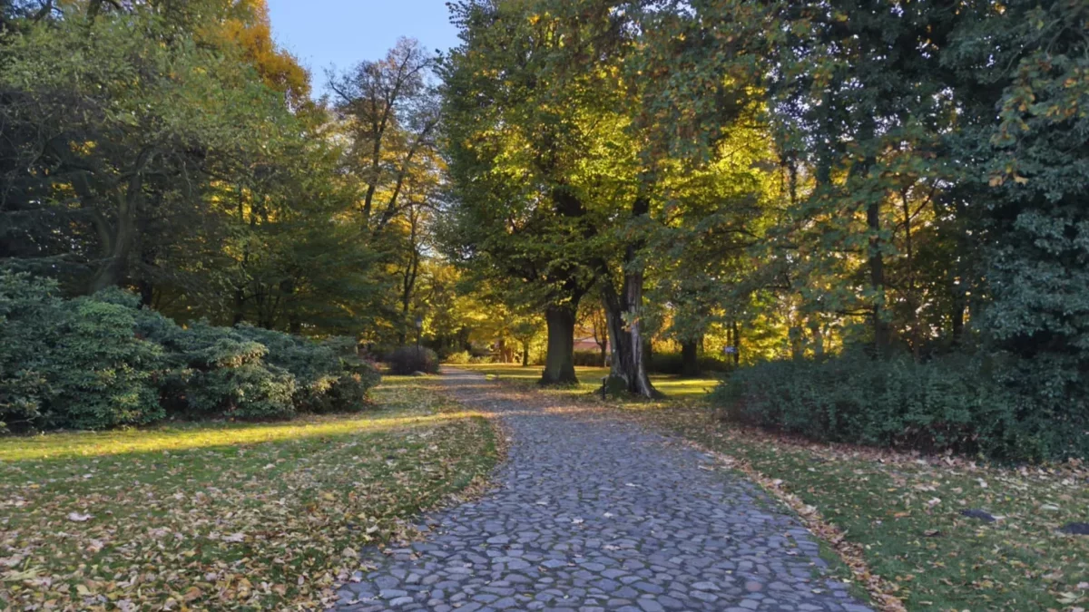 Dzień dobry Pleszew! Dziś sobota, 22 listopada 2025 roku