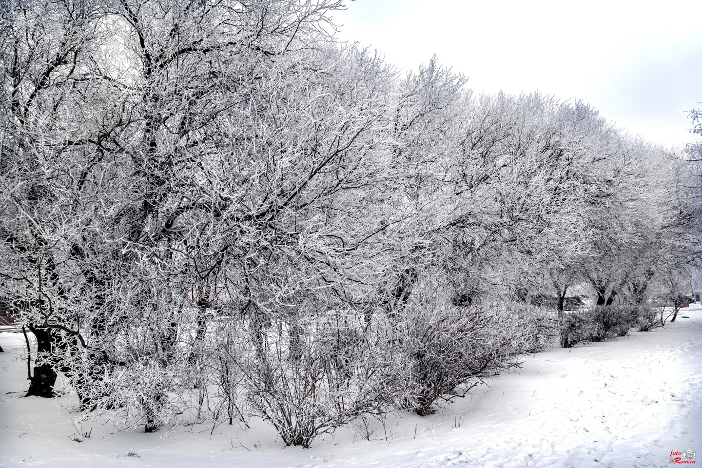 Dzień dobry Pleszew! Dziś czwartek, 15 stycznia 2026 roku