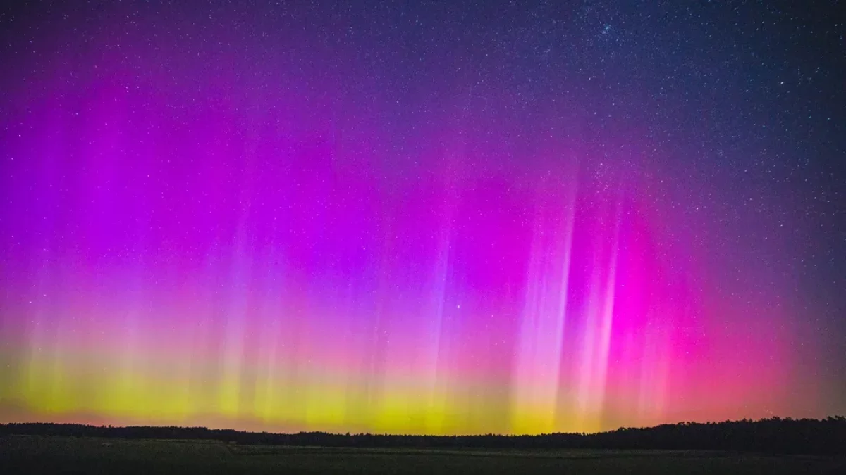 Te dwie noce mogą być wyjątkowe. Nie przegap tego!