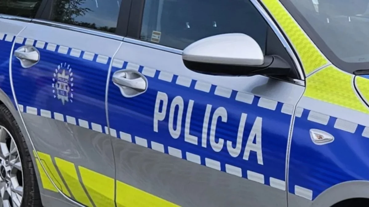 Siłowe wejście do mieszkania. Służby interweniowały na Osiedlu Reja w Pleszewie