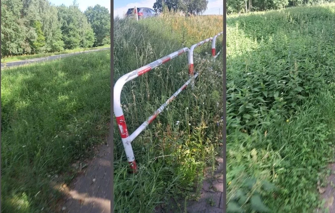 Tragiczny stan ścieżki na trasie Gołuchów - Kościelna Wieś - alarmują mieszkańcy. Jest odpowiedź GDDKiA