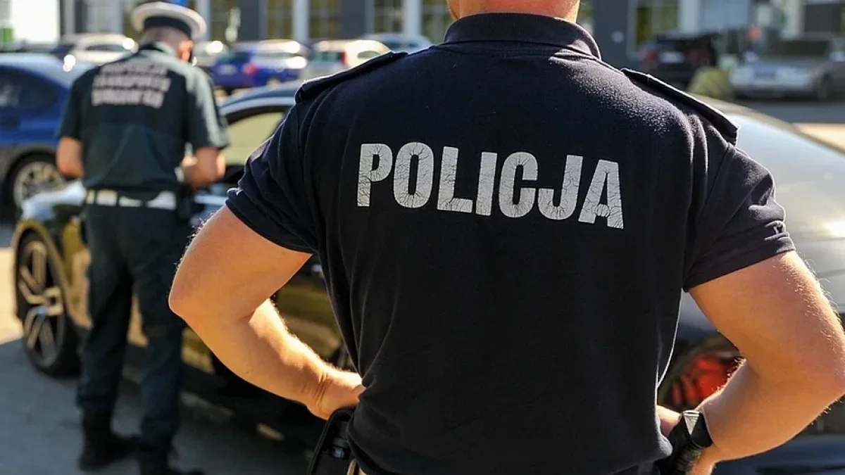 Praca w policji coraz popularniejsza? Zobacz statystyki