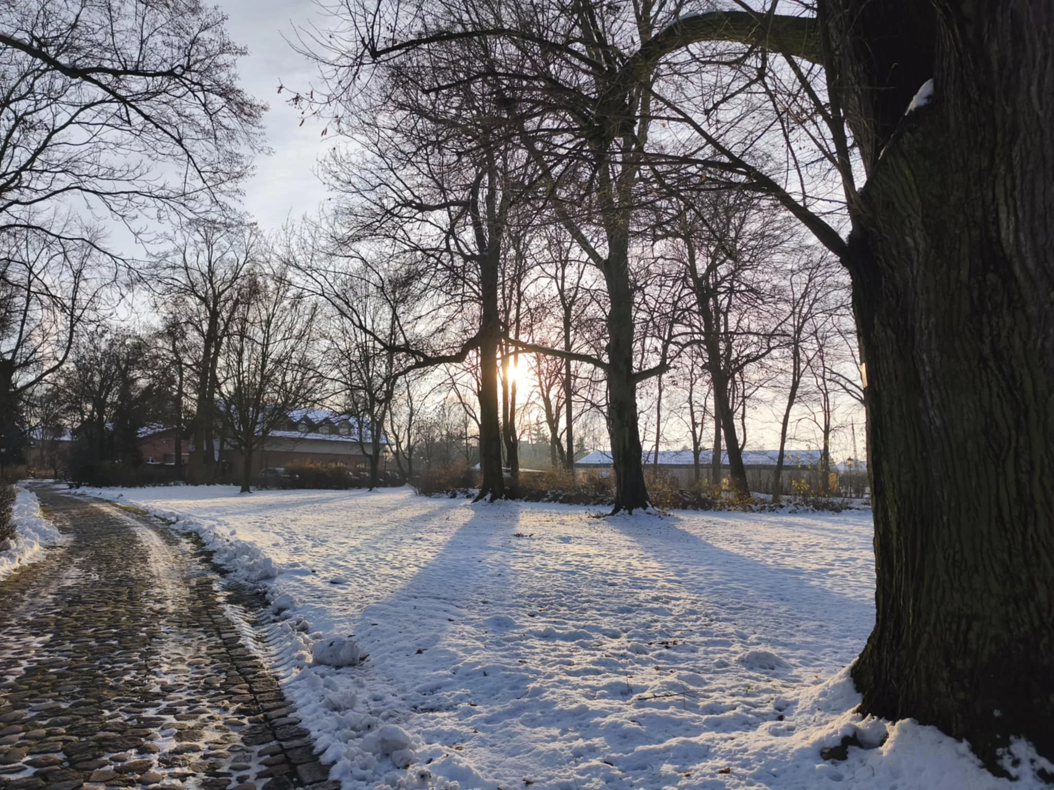 Dzień dobry Pleszew! Dziś czwartek, 4 grudnia 2025 roku