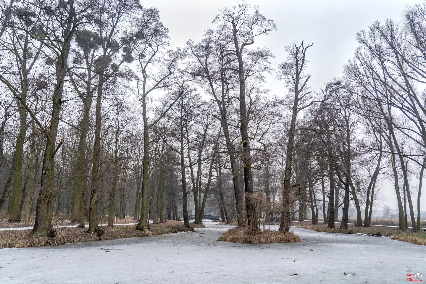 Dzień dobry Pleszew! Dziś sobota, 14 lutego 2026 roku