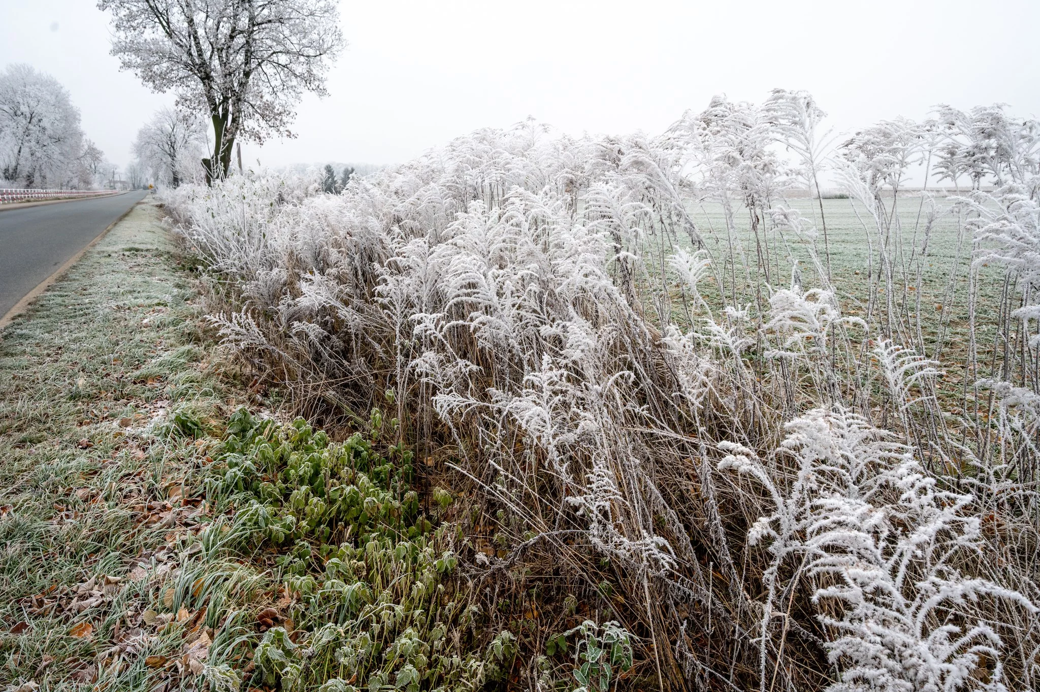 Dzień dobry Pleszew! Dziś wtorek, 30 grudnia 2025 roku