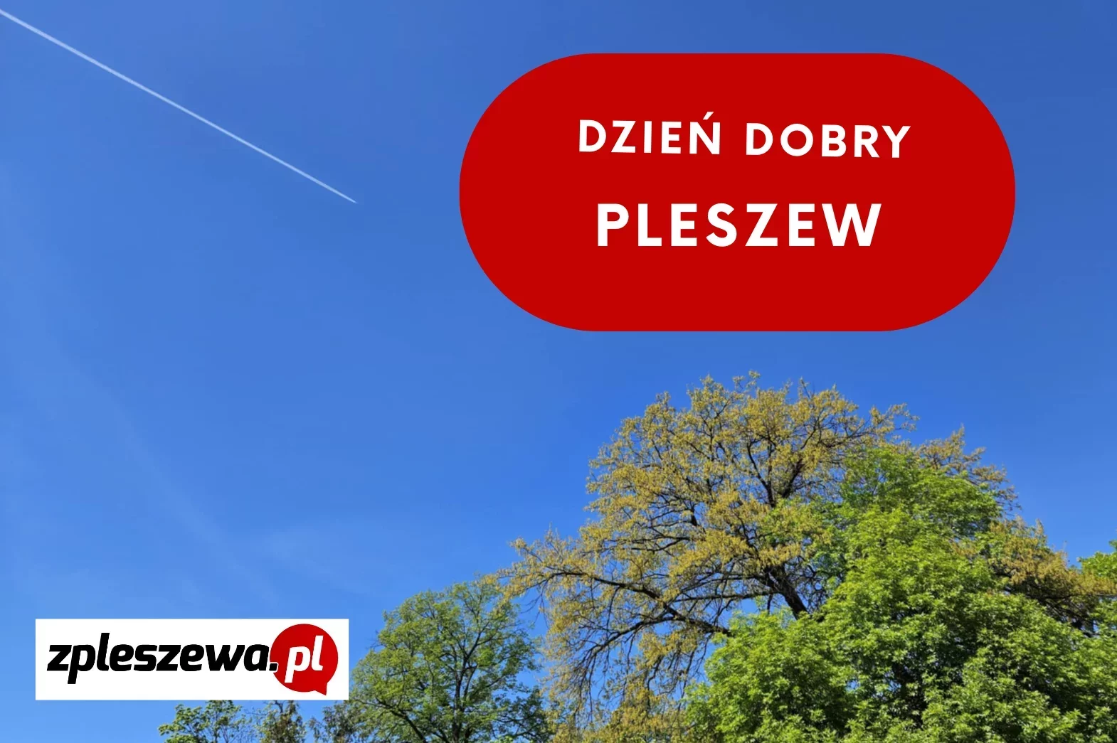 Dzień dobry Pleszew! Dziś sobota 5 lipca, 2025 roku