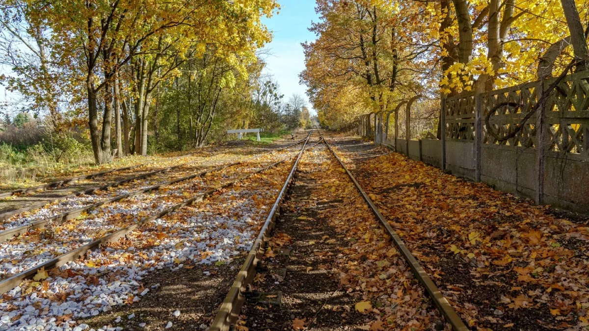 Dzień dobry Pleszew! Dziś wtorek, 25 listopada 2025 roku