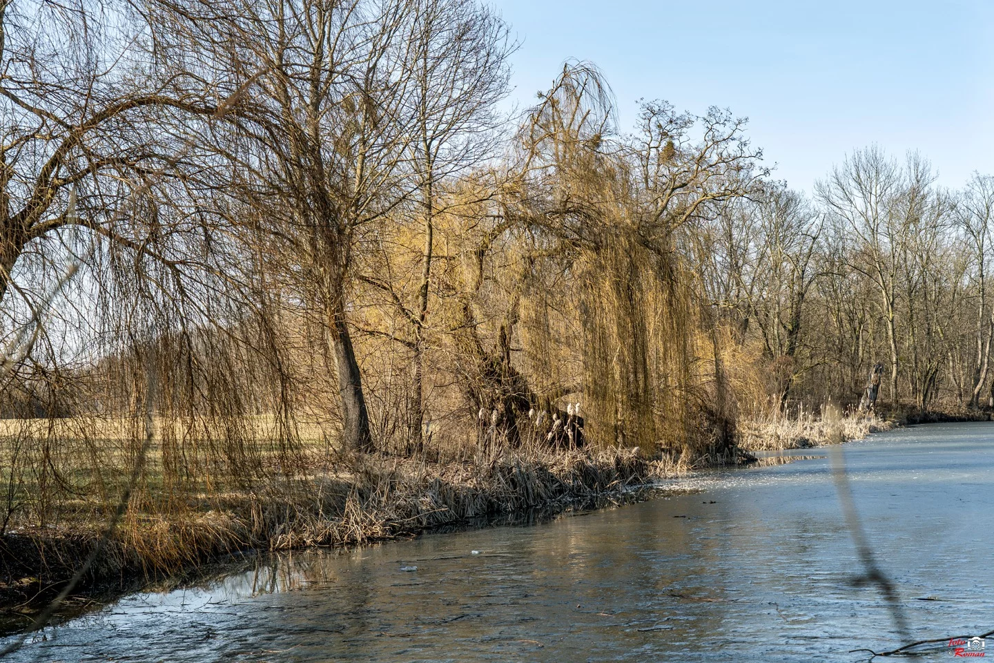 Dzień dobry Pleszew! Dziś środa, 11 marca 2026 roku