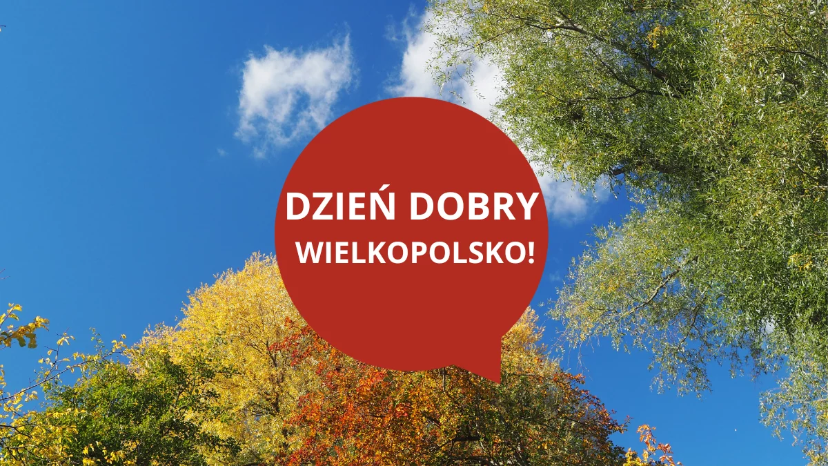 Dzień dobry Wielkopolsko! Dziś czwartek, 23 października 2025 roku