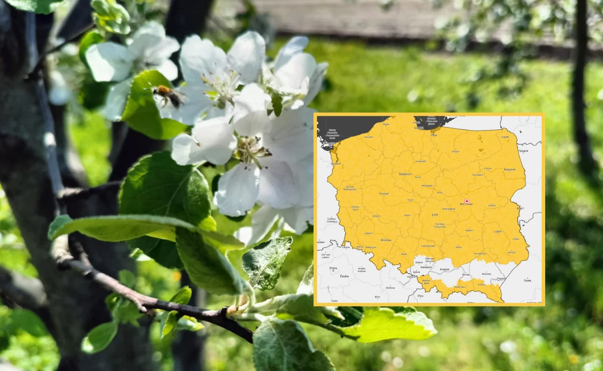 Alert IMGW dla województwa wielkopolskiego. Dotyczy 35 powiatów