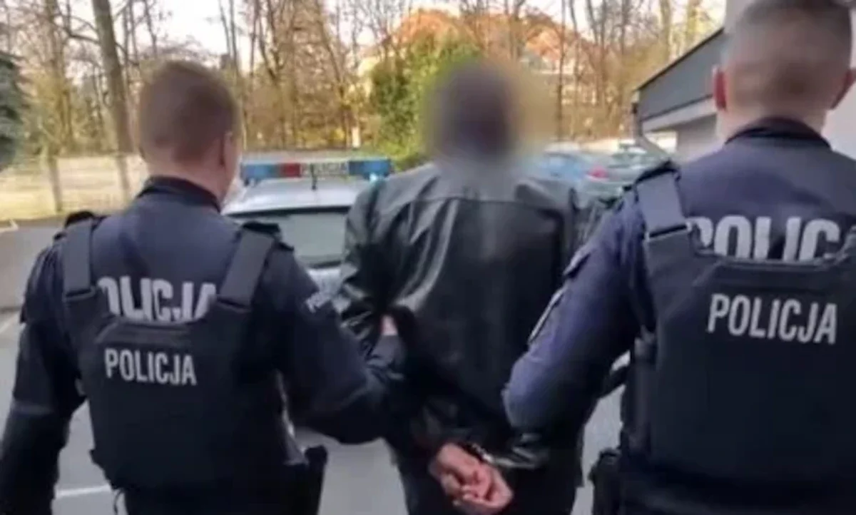 Śmiertelny wypadek na DK36. Policjanci zatrzymali podejrzanego o spowodowanie tragedii [WIDEO]