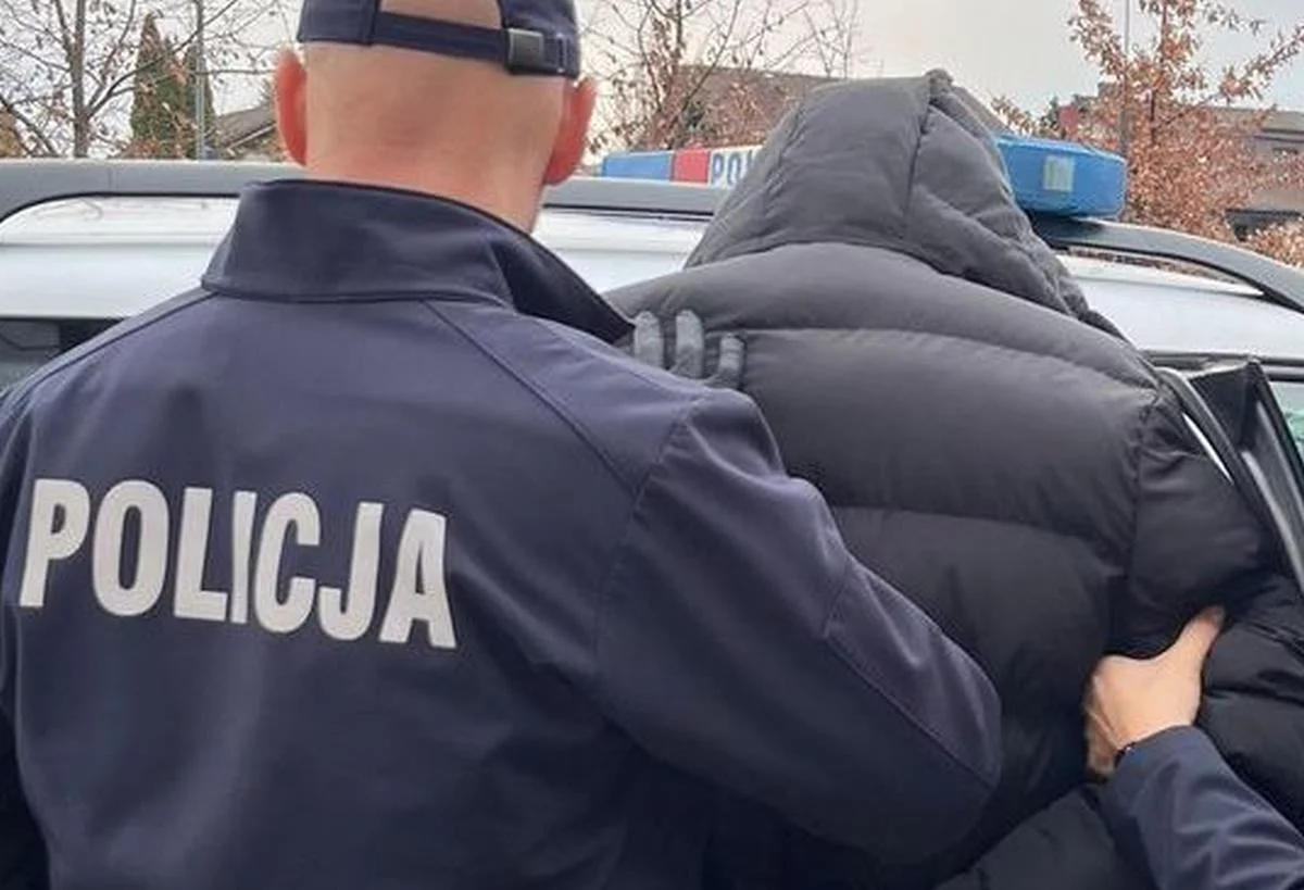 Młody Gargamel aresztowany. Miał ukraść ponad duże pieniądze ze spółki, którą kierował