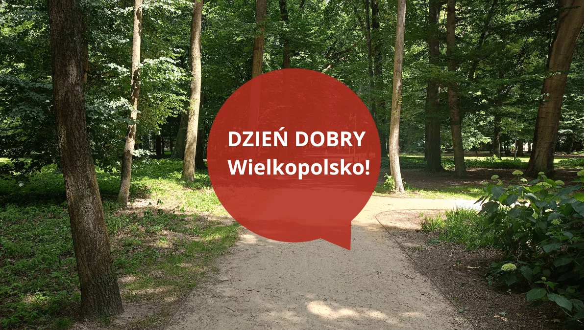 Dzień dobry Wielkopolsko! Dziś wtorek, 1 lipca 2025 roku