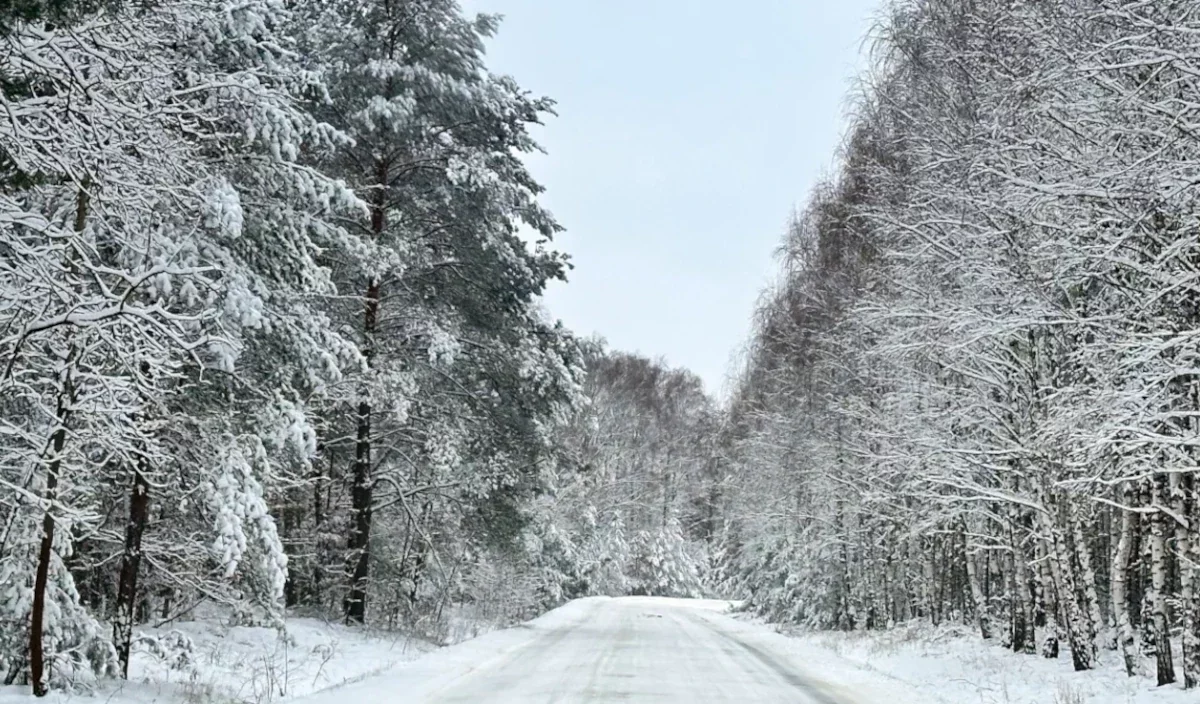 Synoptycy prognozują śnieżyce. Drugi stopień ostrzeżenia dla 13 powiatów Wielkopolski