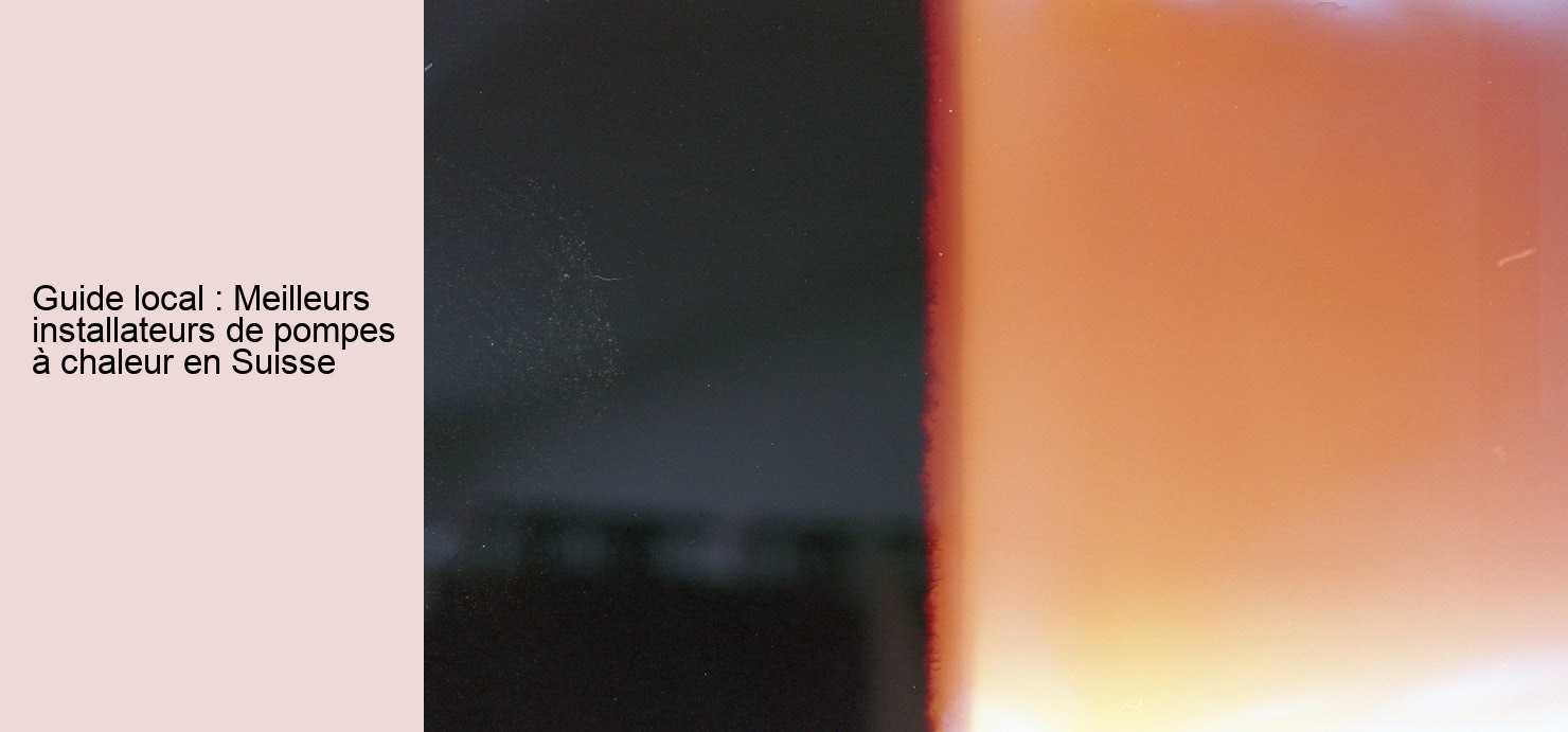 Guide local : Meilleurs installateurs de pompes à chaleur en Suisse