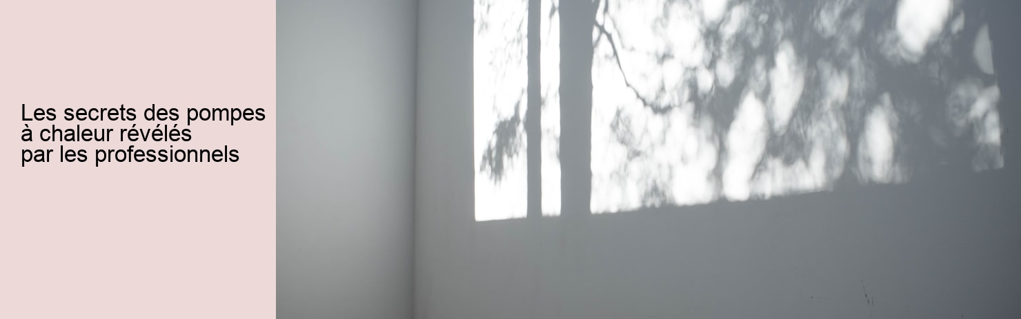 Les secrets des pompes à chaleur révélés par les professionnels