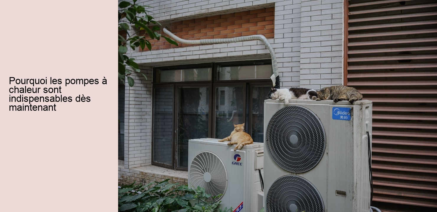 Pourquoi les pompes à chaleur sont indispensables dès maintenant