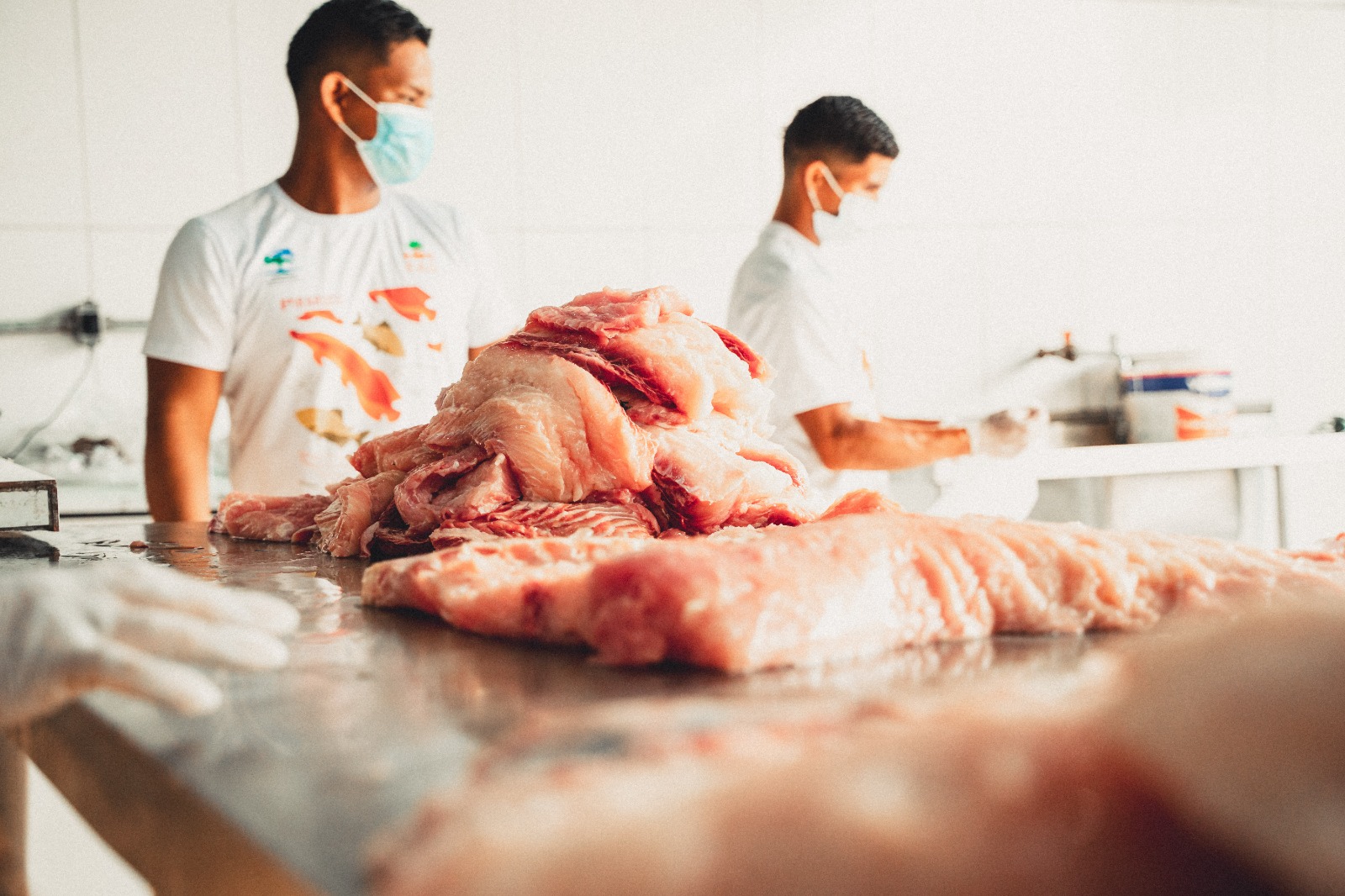 Todos os pedaços do pirarucu estarão à venda / Foto: Lucas Bonny