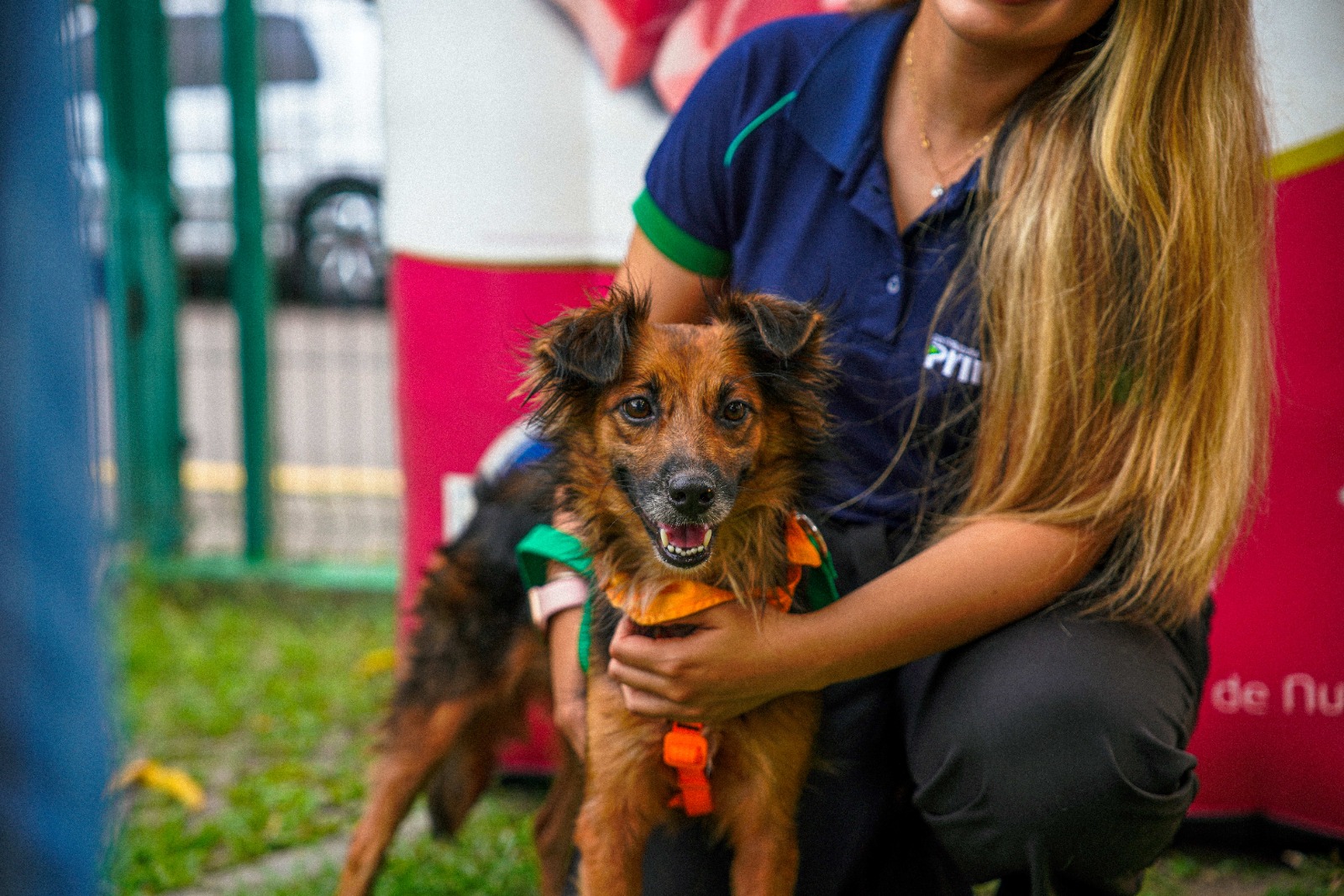 Amazonas Shopping tem feira de adoção de cães no sábado