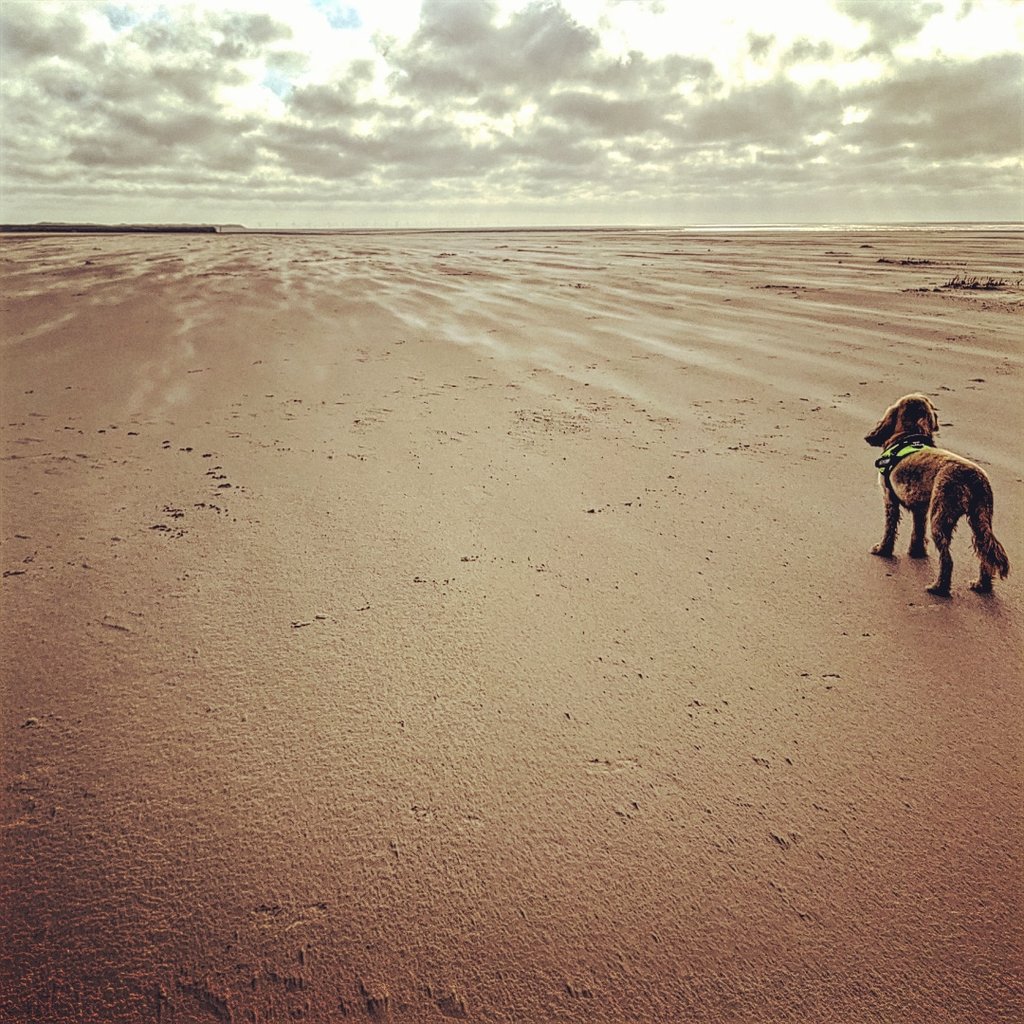 Askam-in-Furness Beach