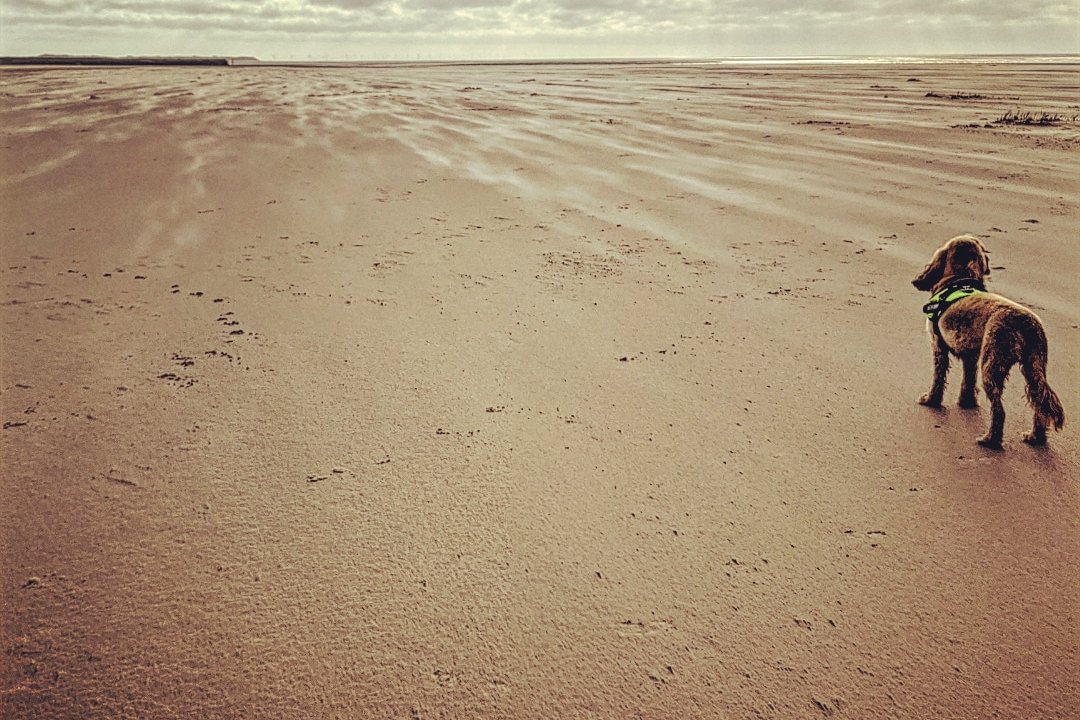 Askam-in-Furness Beach