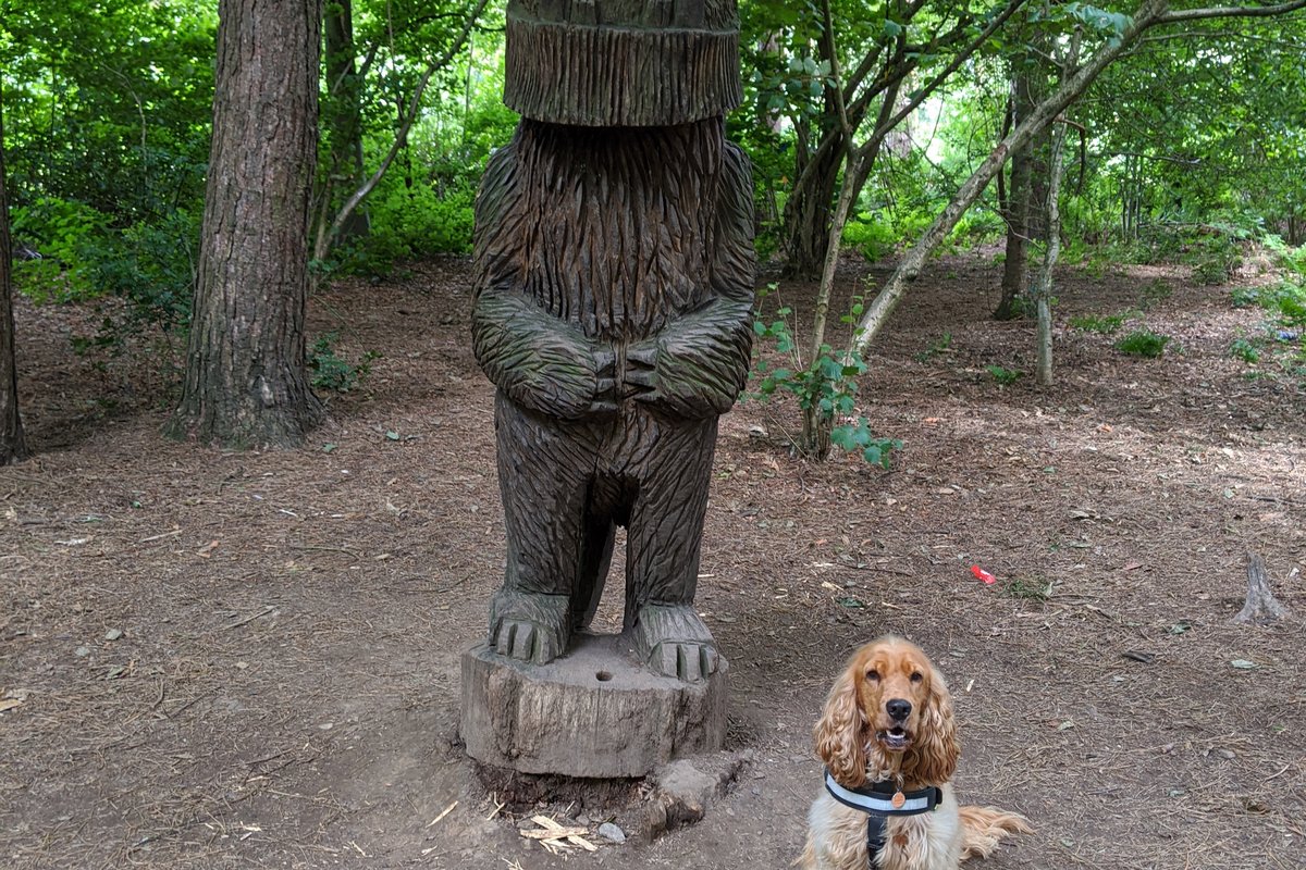 Beacon Country Park