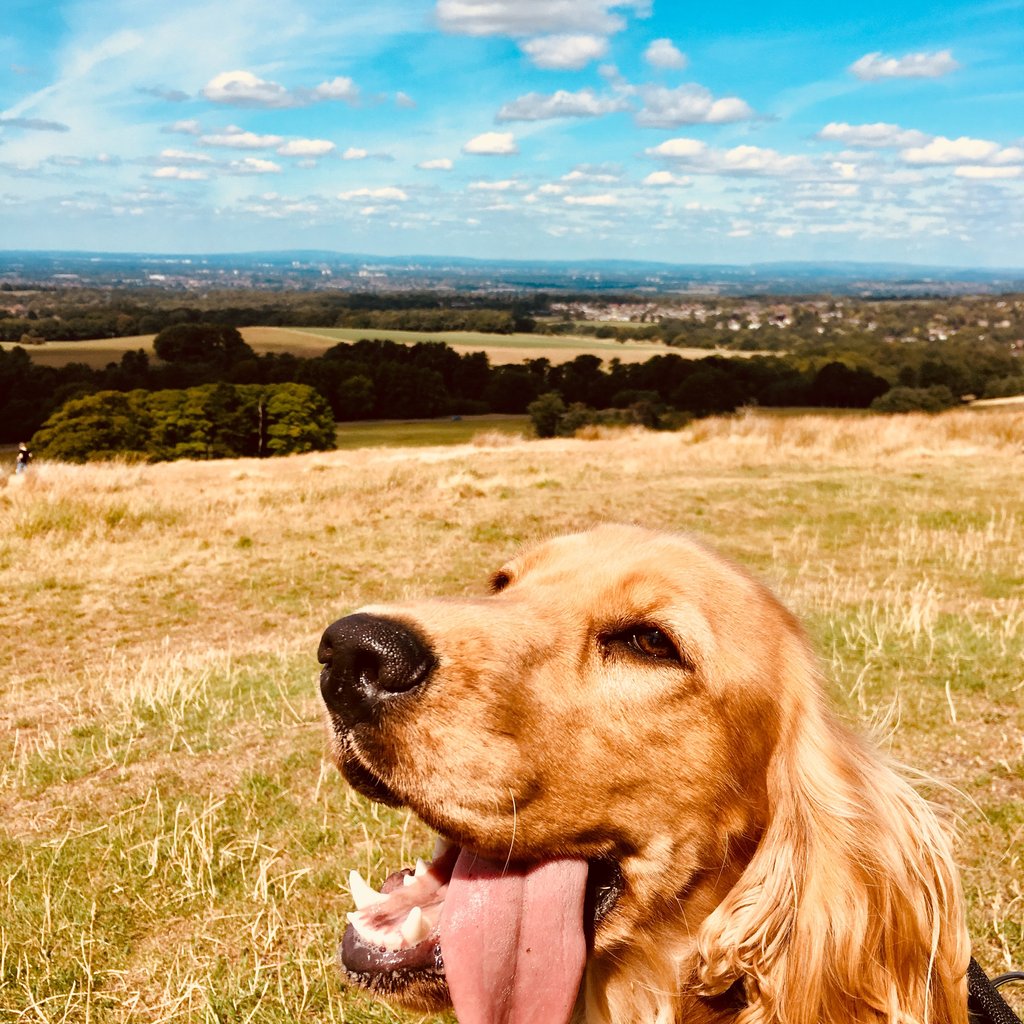 Lyme Park