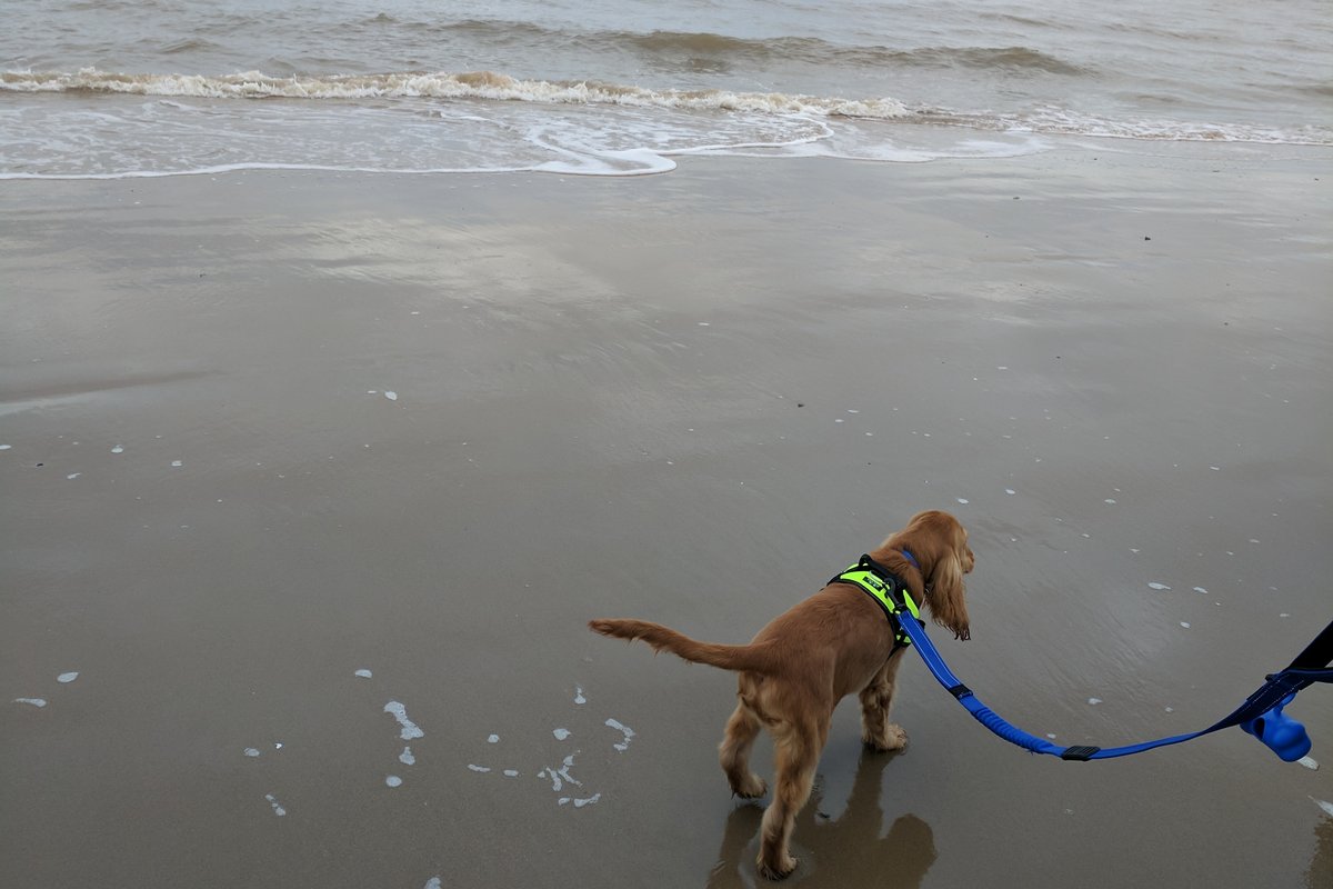 Formby Beach