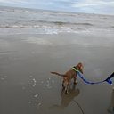 Formby Beach