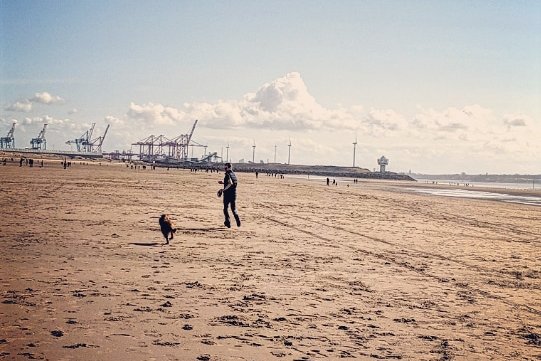 Crosby Beach