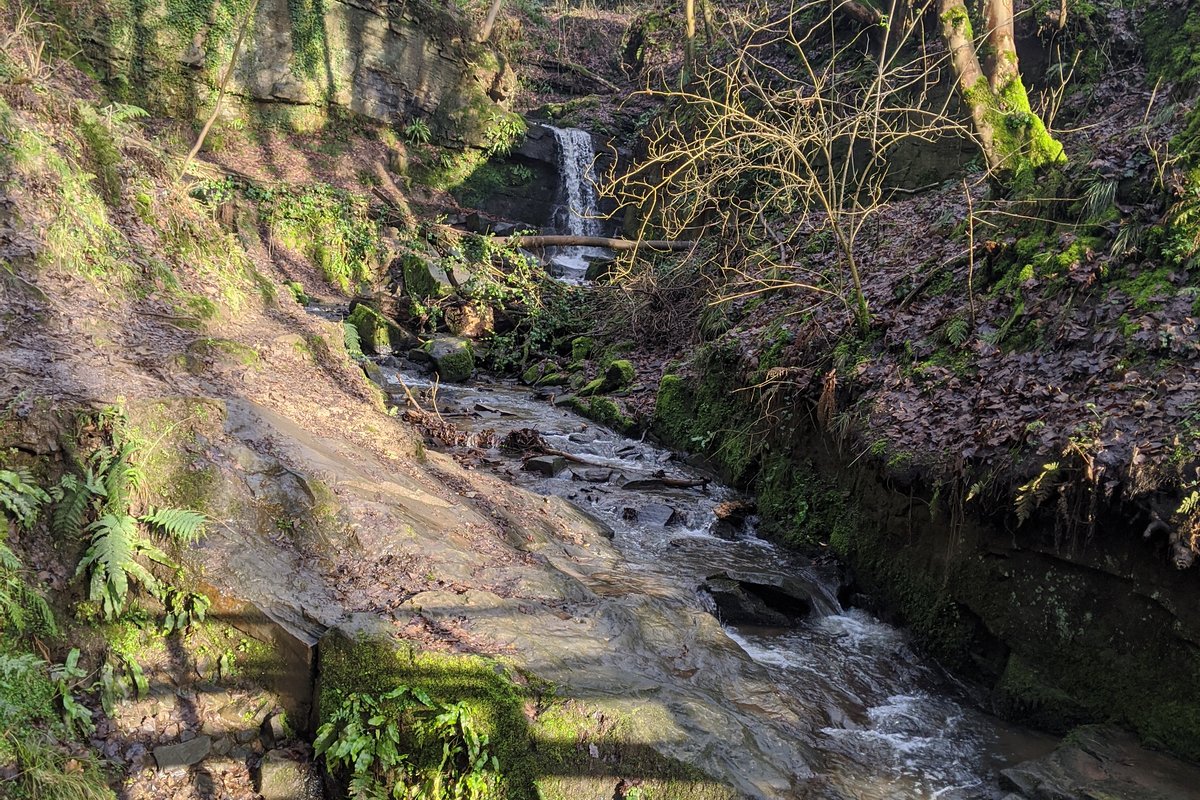 Fairy Glen