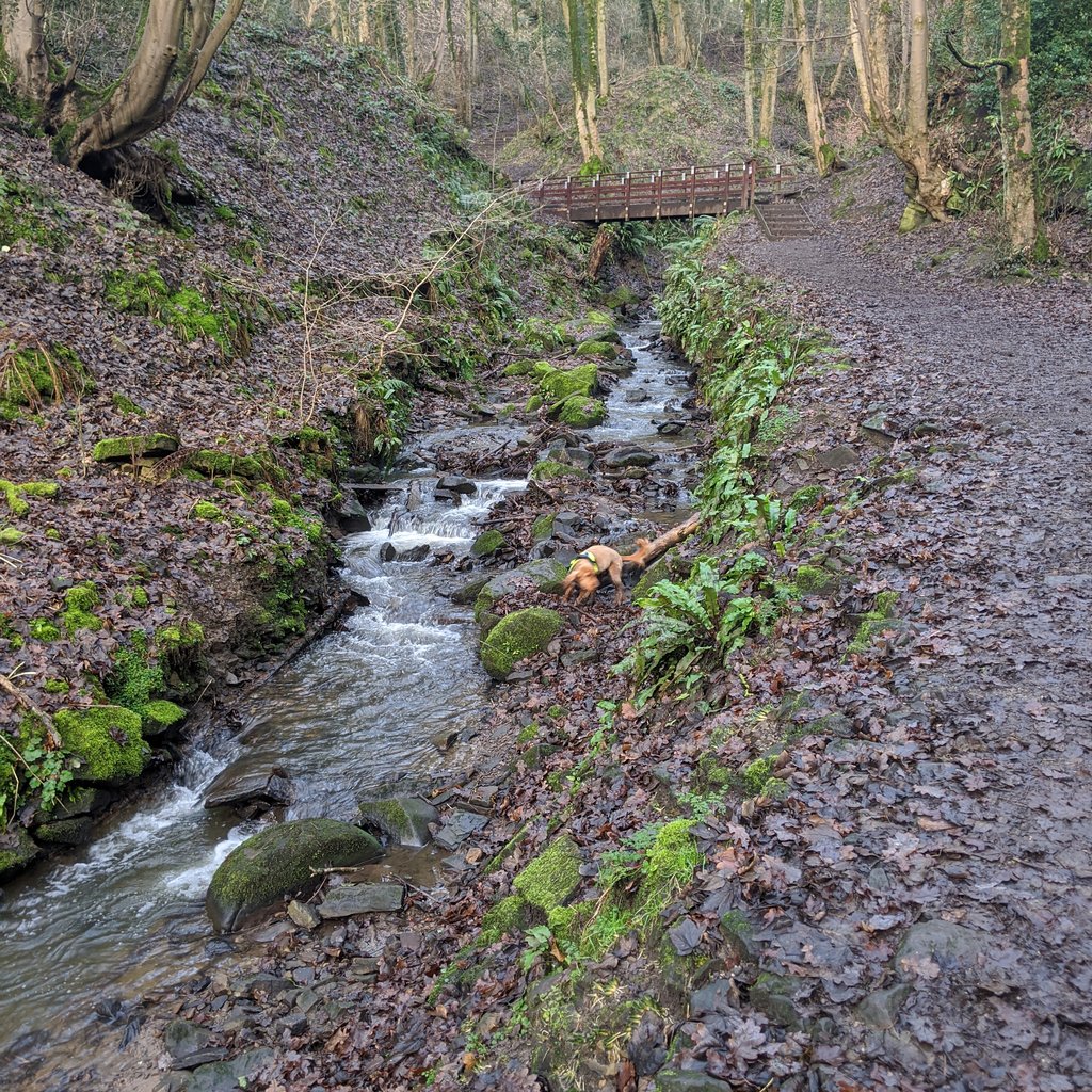 Fairy Glen