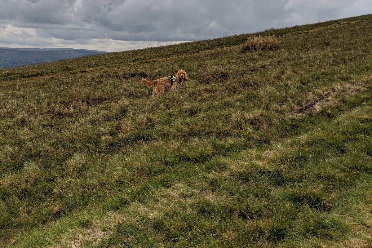 Pendle Hill