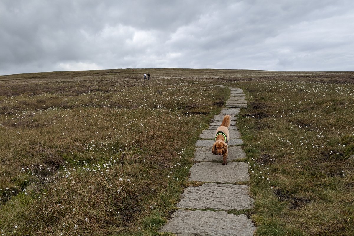 Pendle Hill