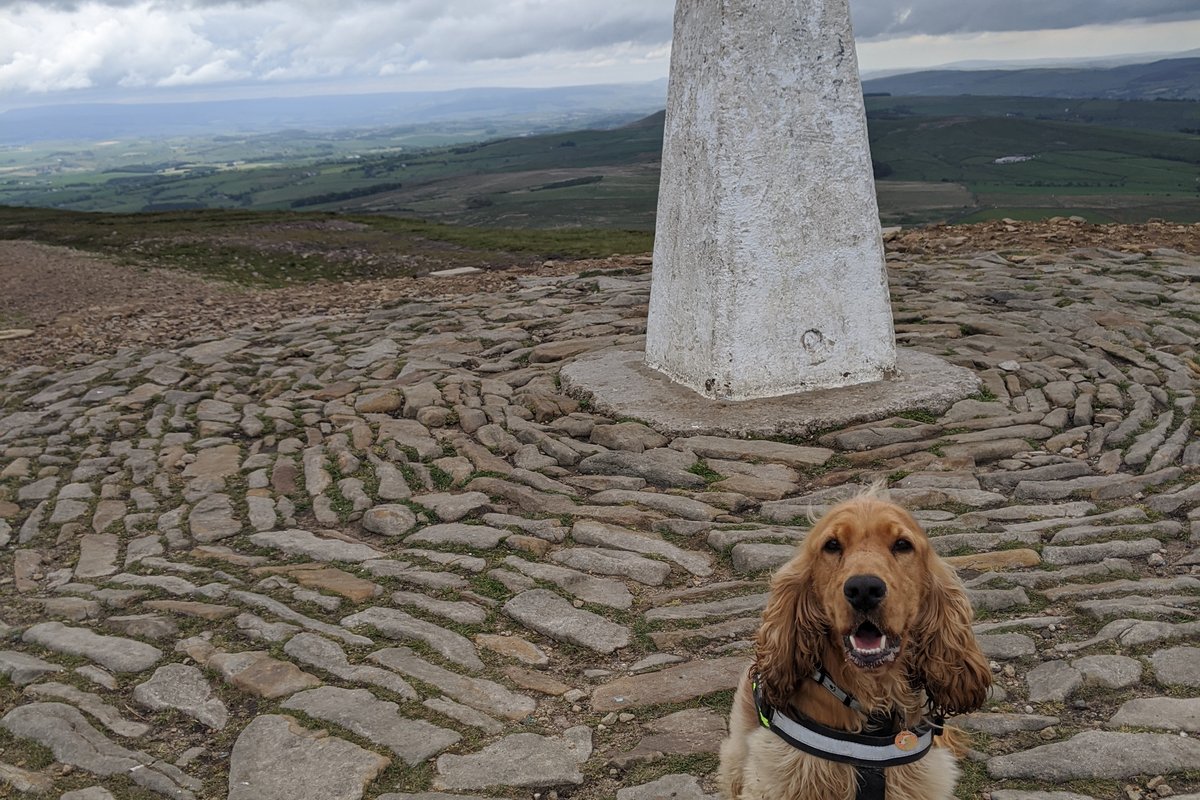 Pendle Hill