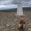 Pendle Hill