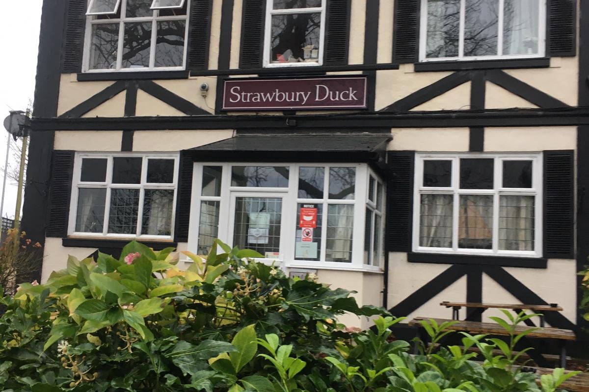 The Strawbury Duck