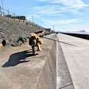 Blackpool Beach