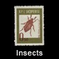 Insects