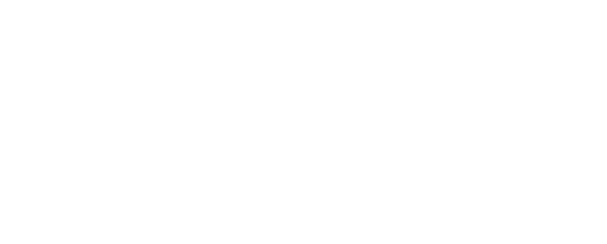 DJI logo