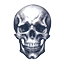 Silver Skull