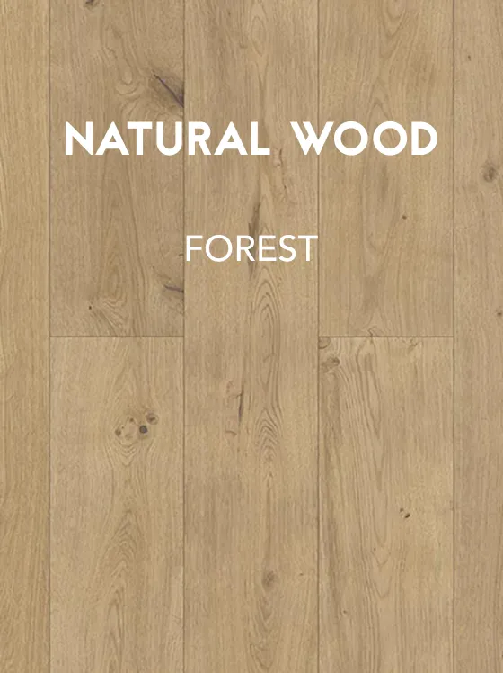 catalog FOREST
