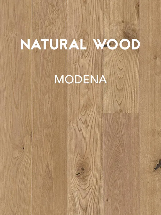 catalog MODENA