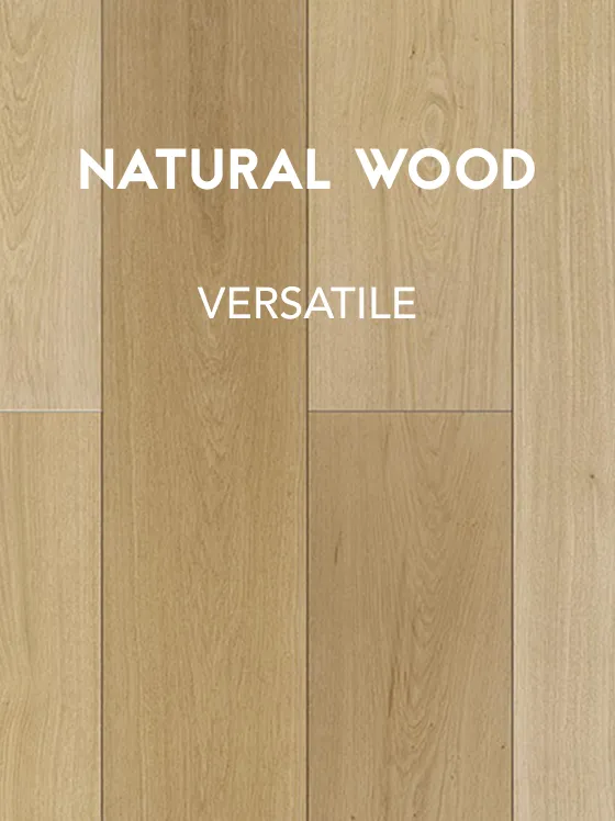 catalog VERSATILE
