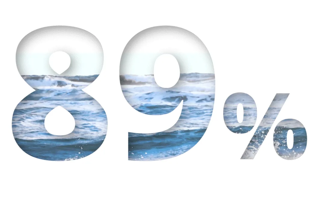 showcase waterforest 2 det